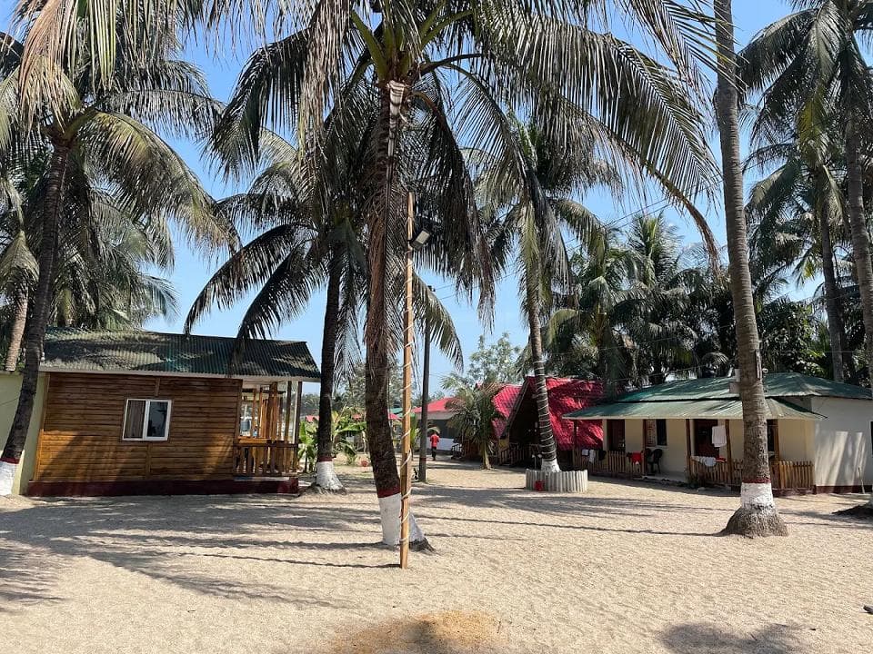 Image 14