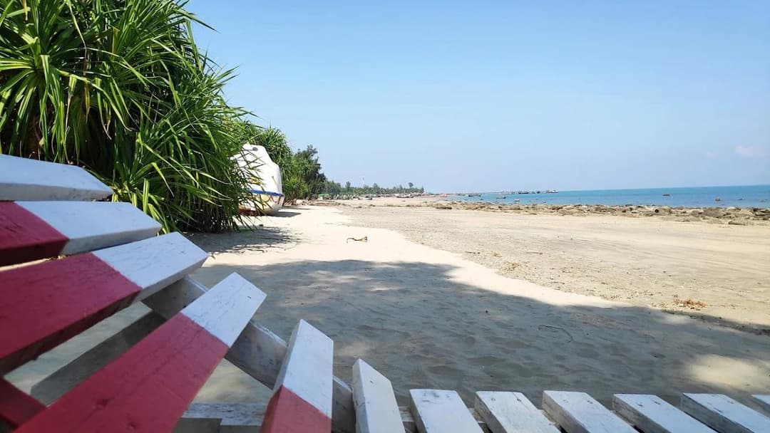 View All