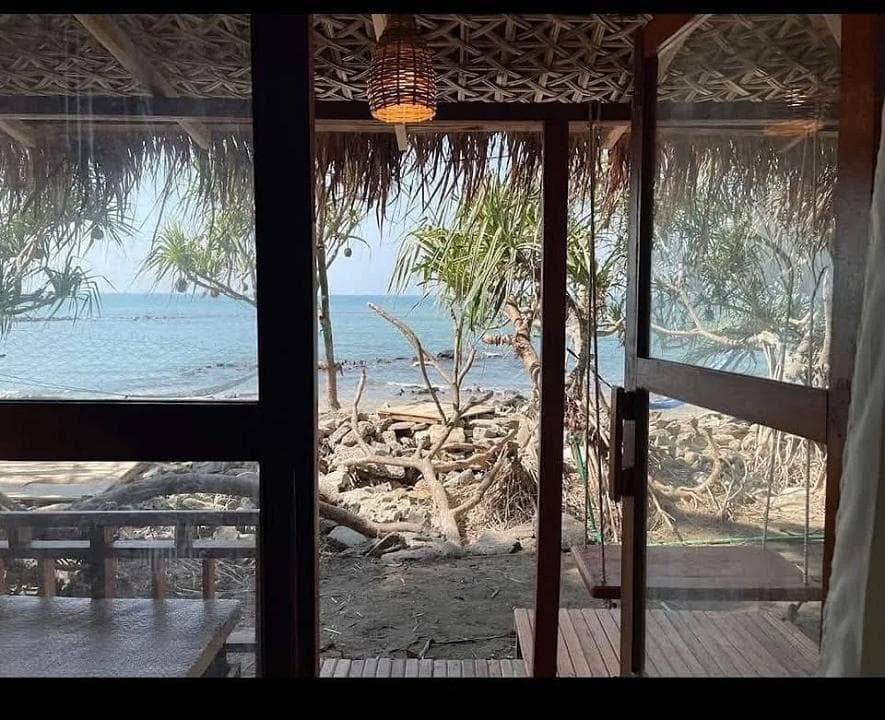 View All
