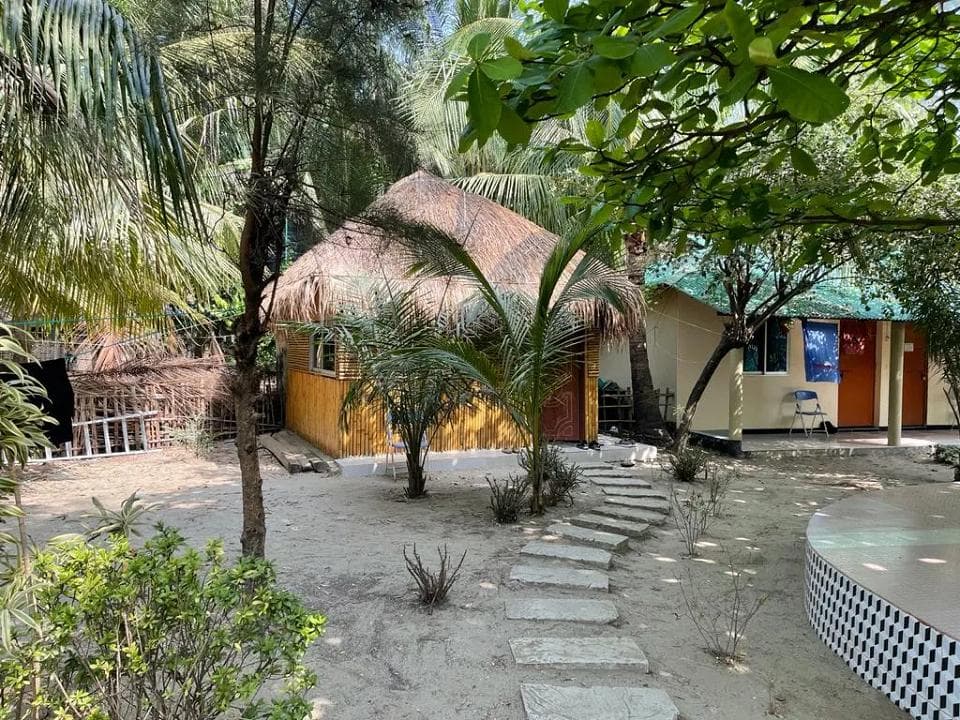 Image 7