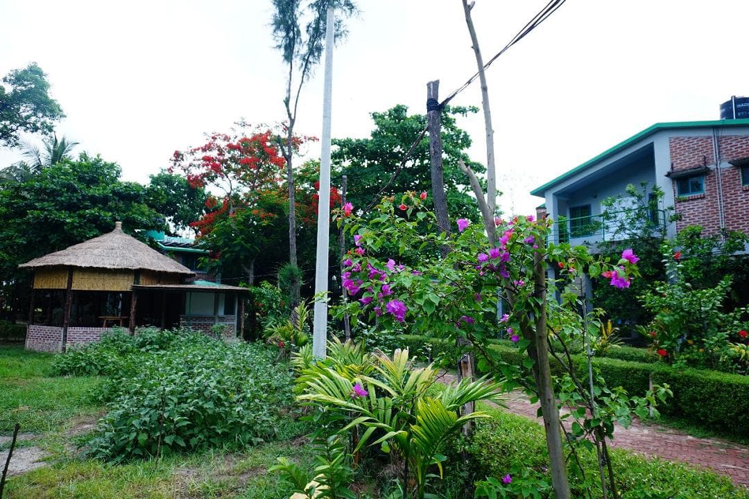 Image 15