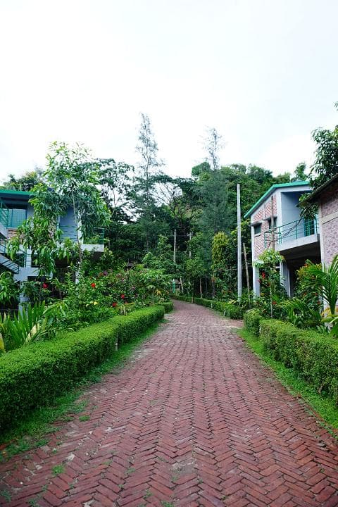 Image 17
