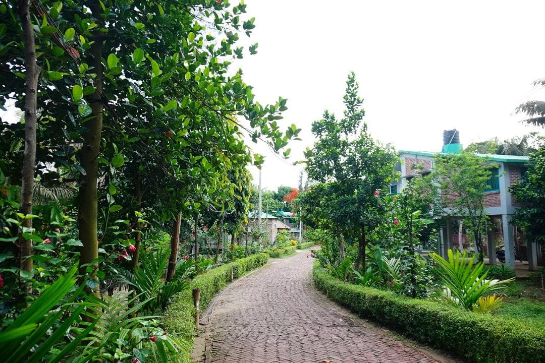 Image 19