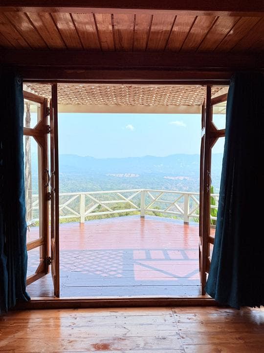 View All