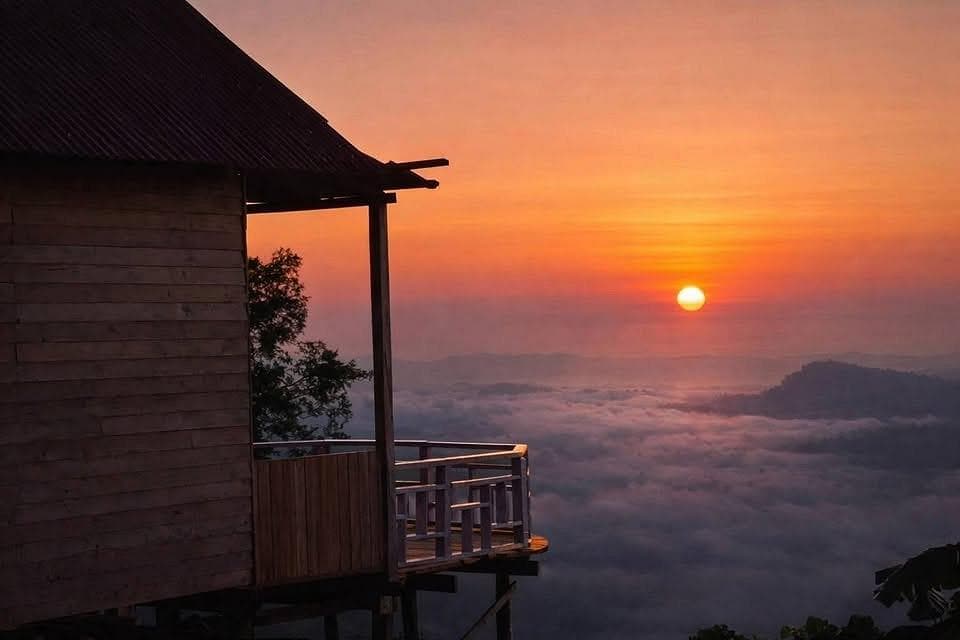 View All